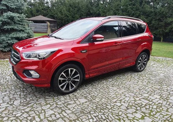 ford kuga szamotuły Ford Kuga cena 94500 przebieg: 31255, rok produkcji 2019 z Szamotuły